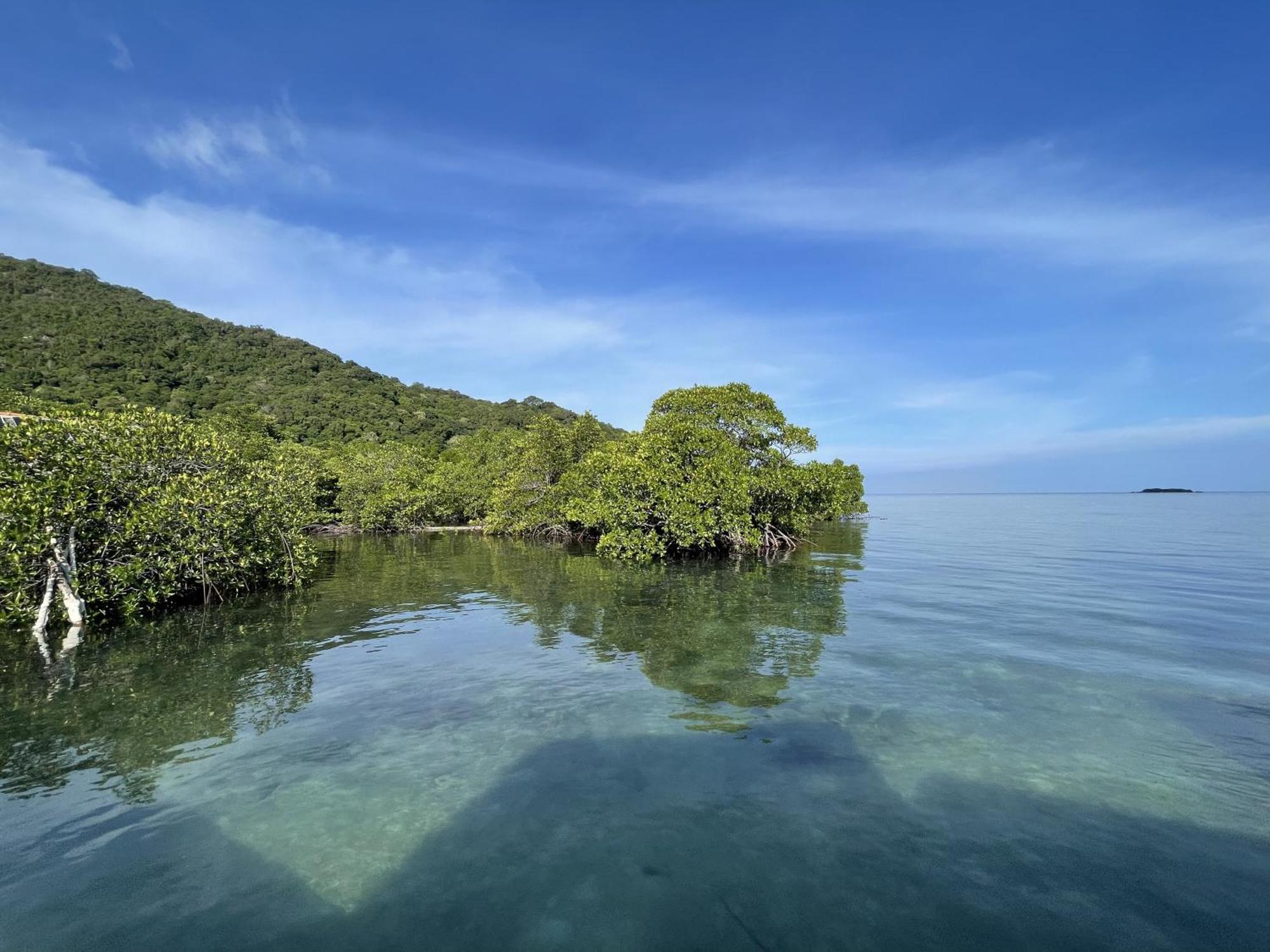 ホテル Floating Paradise カリムンジャワ エクステリア 写真